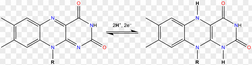 U Flavin Adenine Dinucleotide NADH Dehydrogenase Group Nicotinamide PNG