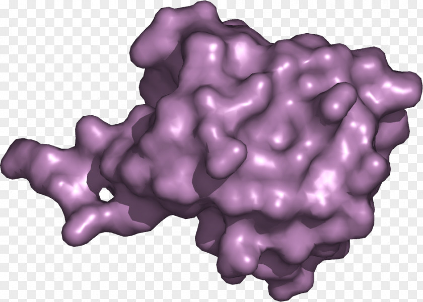 Ubiquitin Protein Cell Lysosome PyMOL PNG