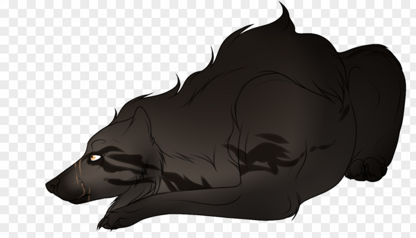 Bear Canidae Dog Snout PNG