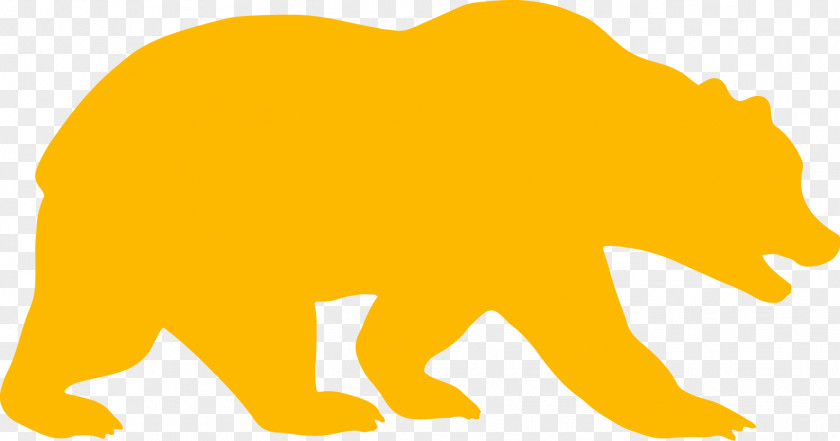 Bear University Of California, Berkeley California Golden Bears Women's Basketball Football Baseball PNG