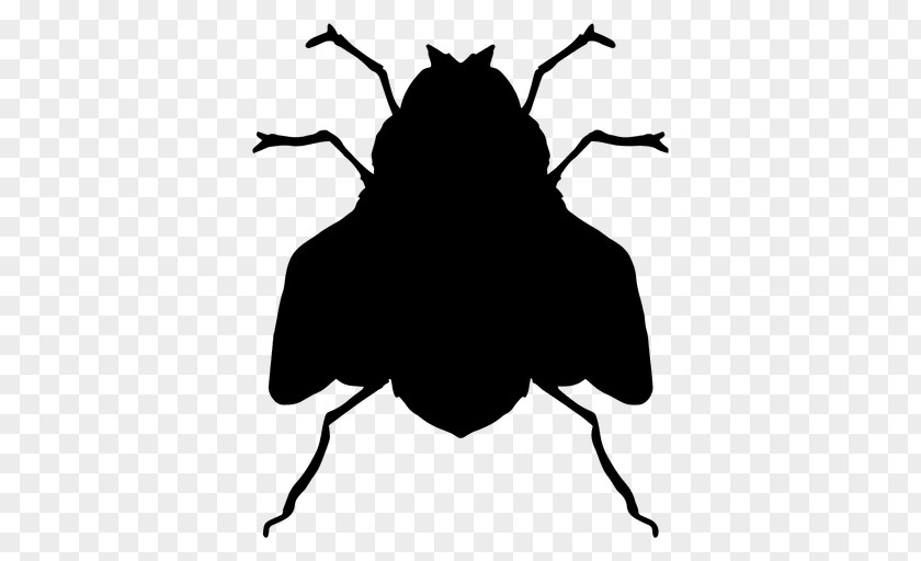 Fly Silhouette Insect Clip Art PNG