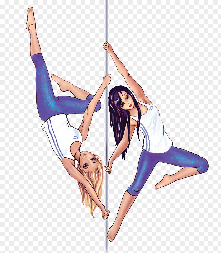 Nice Art Pole Dance Acrobatics Studio Choreography PNG