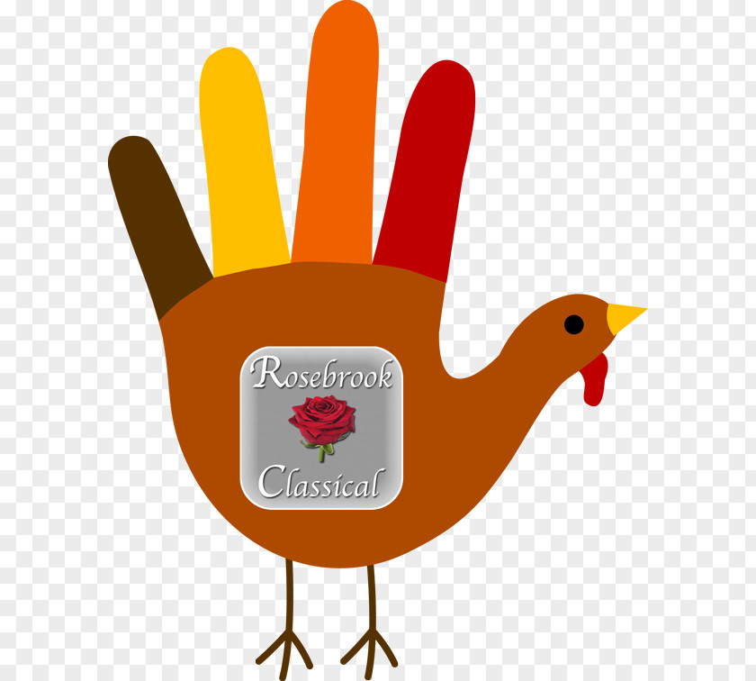 Pencil Turkey Meat Drawing Paper Clip Art PNG