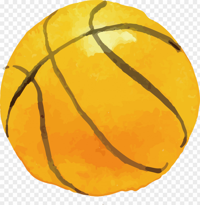 Vector Drawing Basketball Watercolor Painting Sport PNG