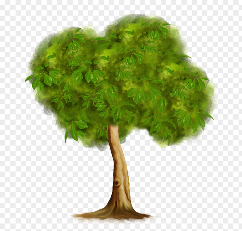 Watercolour Trees Lossless Compression Data Clip Art PNG