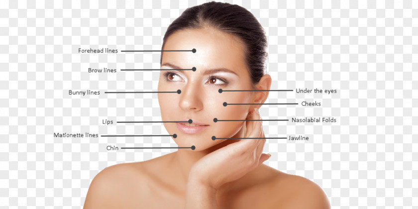 Cosmetic Treatment Injectable Filler Eyebrow Cheek Courtenay Clinic Face PNG