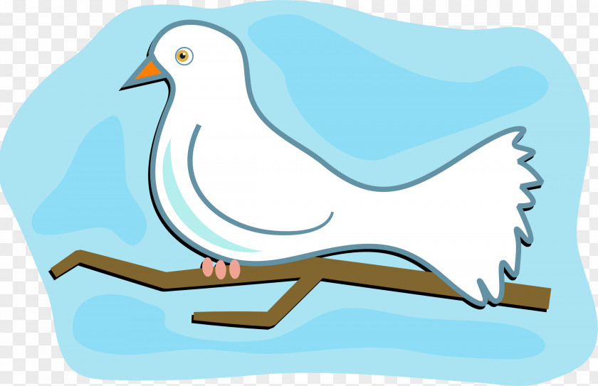 DOVES Columbidae Doves As Symbols Clip Art PNG