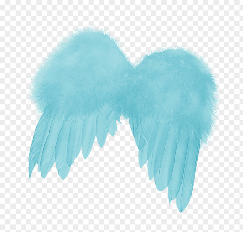 Feather Angels Angel Wing PNG