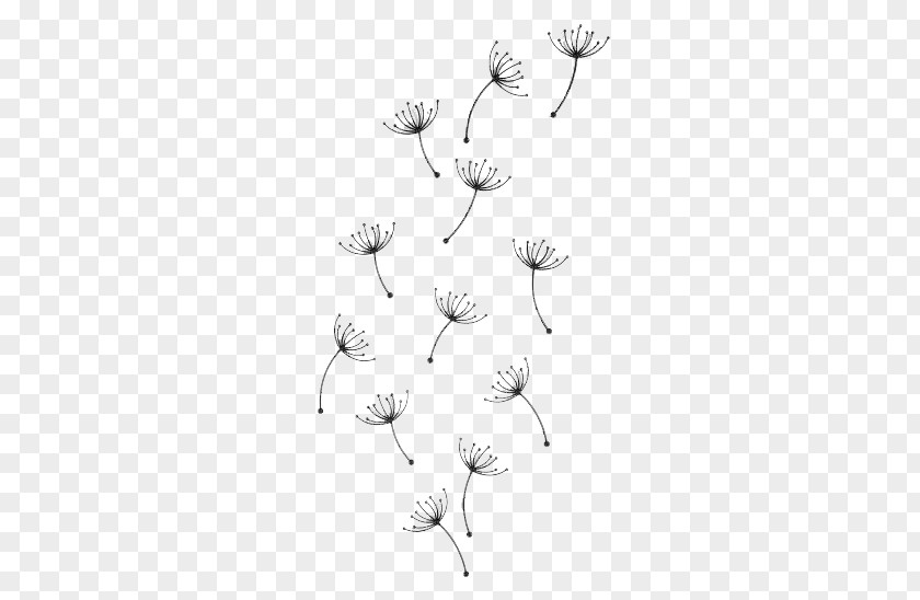 Floating Dandelion Herbaceous Plant Illustration PNG