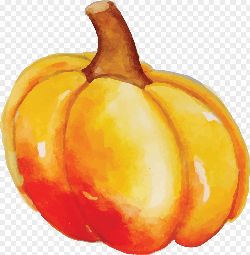 Happy Autumn Fall Harvest PNG