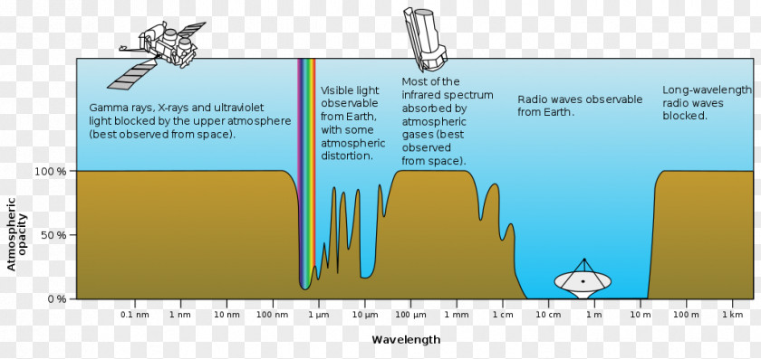 Mantis Shrimp Absorption Electromagnetic Spectrum Atmosphere Of Earth Radiation PNG