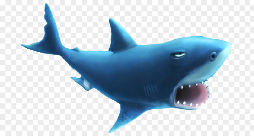 Shark Hungry Evolution World Great White Megalodon PNG