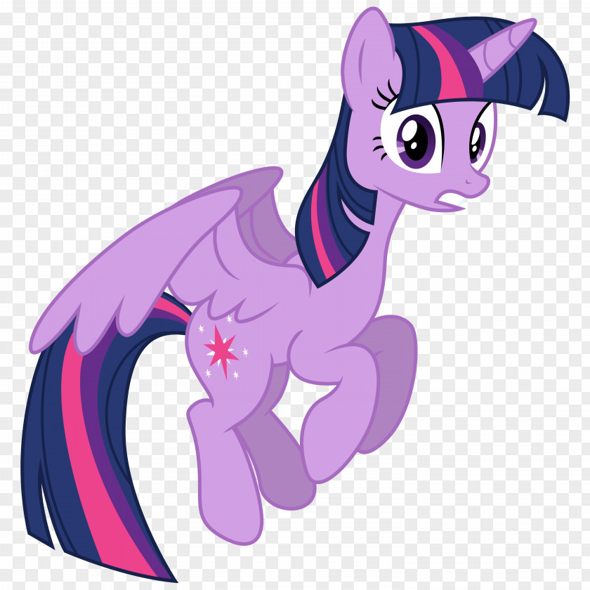 Sparkle Twilight Pony Princess Celestia Rainbow Dash The Saga PNG