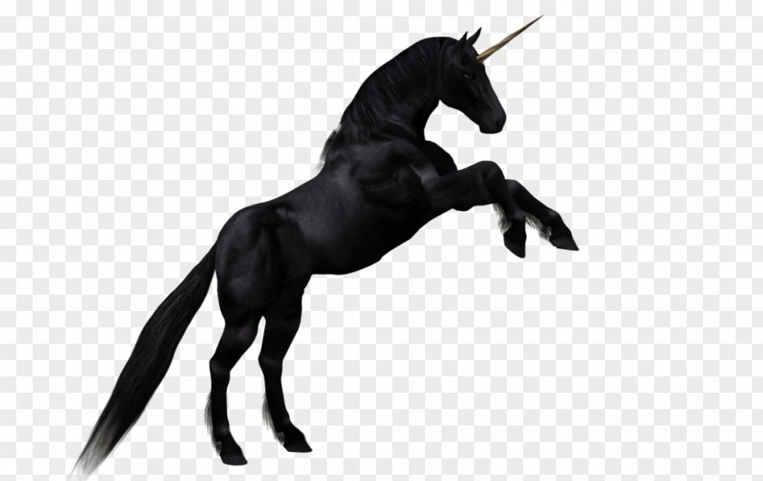 Unicor Horse Unicorn Clip Art PNG