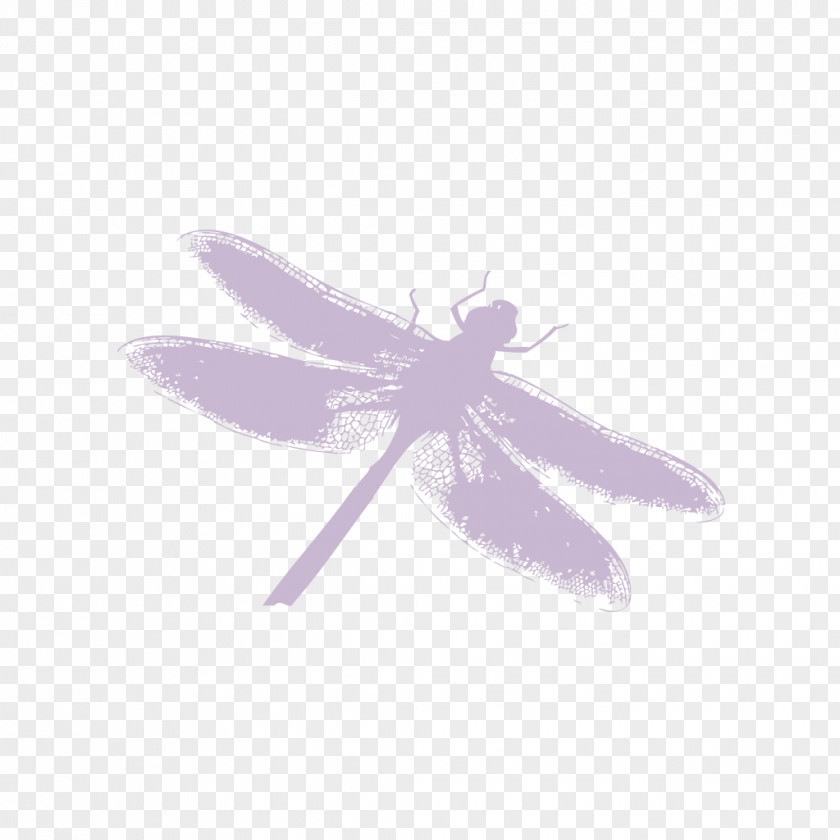Dragonfly Silhouette Insect PNG