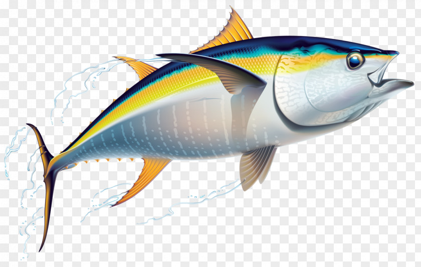 Fish Yellowfin Tuna Fishing Friend Of The Sea PNG