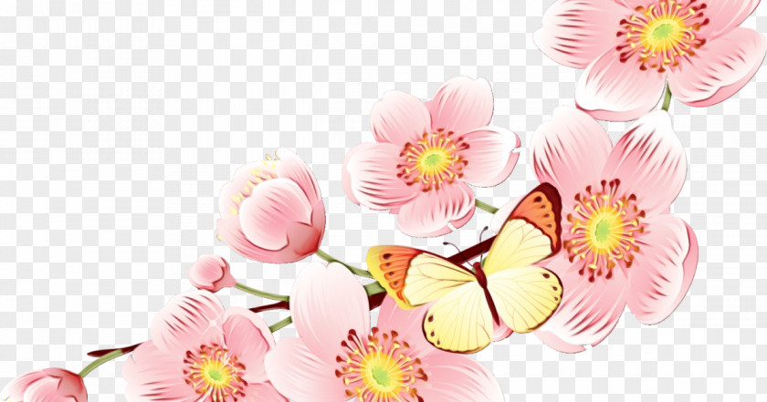 Flowering Plant Spring Pink Flower Petal PNG