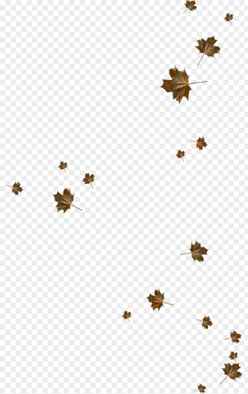 Goose Autumn Leaves Leaf PNG