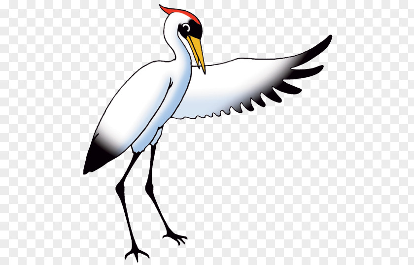 Longevity Crane Publishing Mathematics Bird Stork PNG