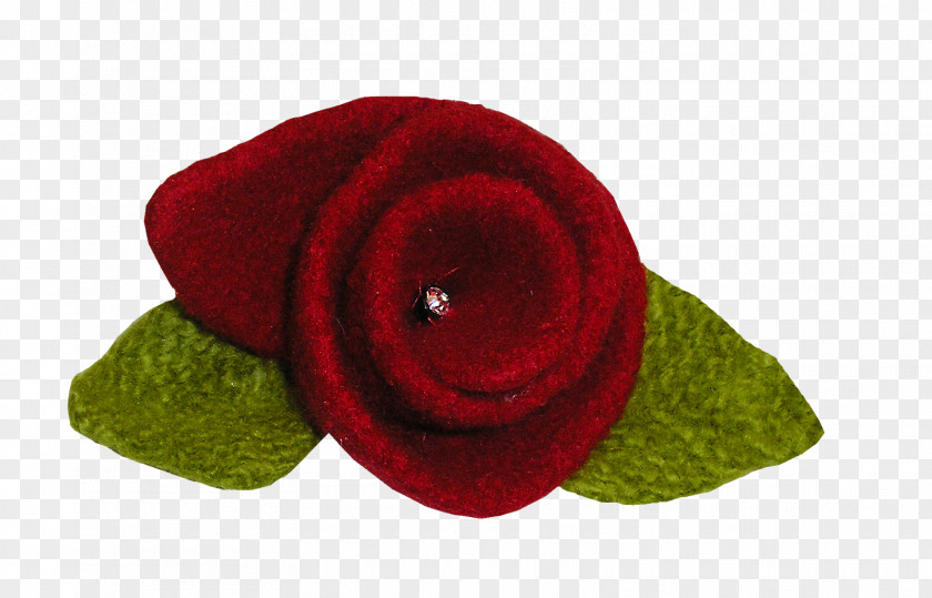 Rose Garden Roses Cut Flowers Petal Wool PNG