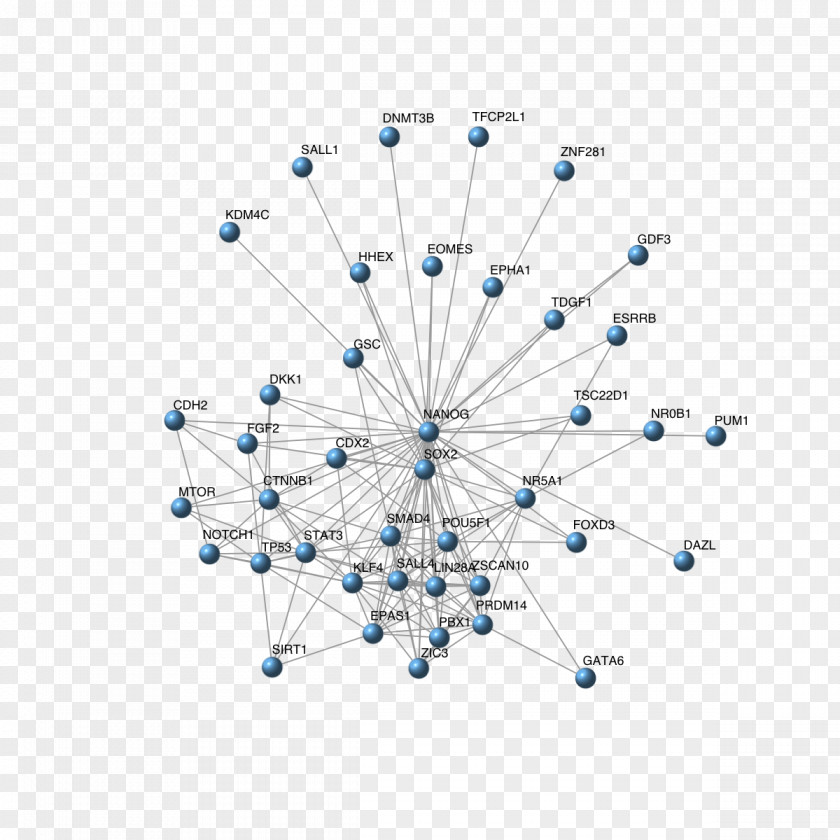 Subnetwork Igraph Computer Network Angle Vertex PNG