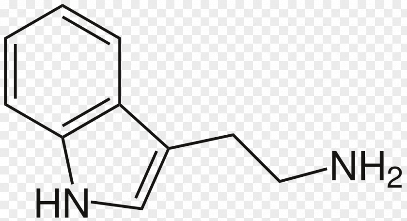 Amine List Of Naturally Occurring Tryptamines Psychedelic Drug O-Acetylpsilocin N,N-Dimethyltryptamine PNG