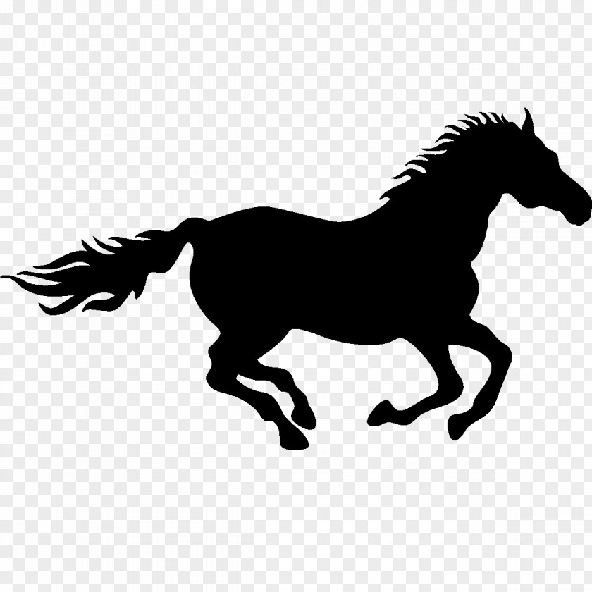 Running Horse Drawing Silhouette Clip Art PNG