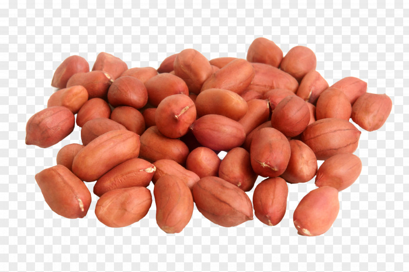 Black Beans Peanut Seed Mandi Cumin PNG