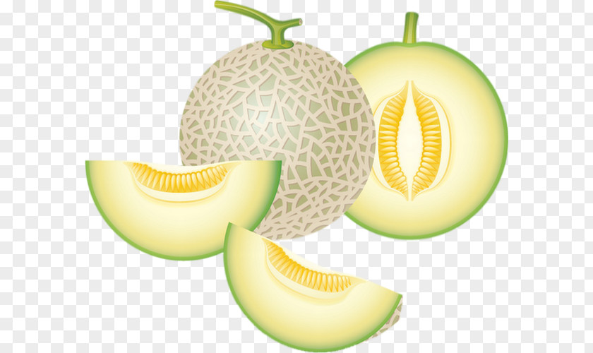 Cantaloupe Melon Honeydew Clip Art PNG