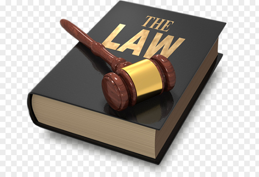 Lawyer Criminal Defense Law Legal Aid PNG