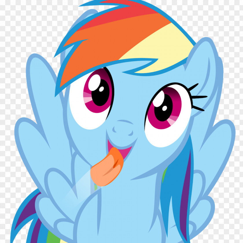 Rainbow Dash Pony Wiki PNG
