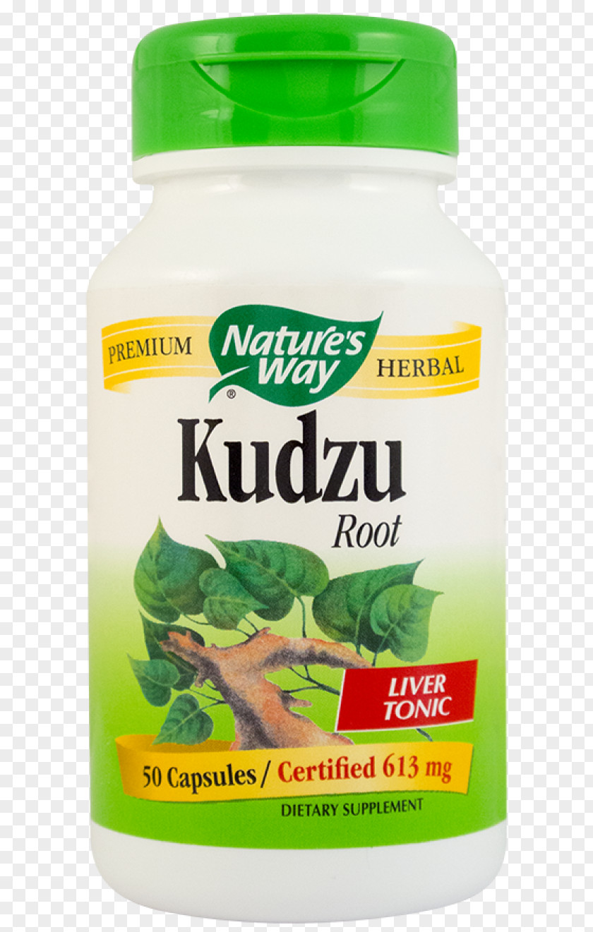 Hypericum Kudzu Dietary Supplement Nature Leaf Capsule PNG