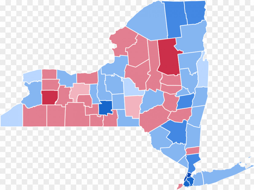 Politics United States Presidential Election In New York, 2016 Election, 2008 US 1920 PNG