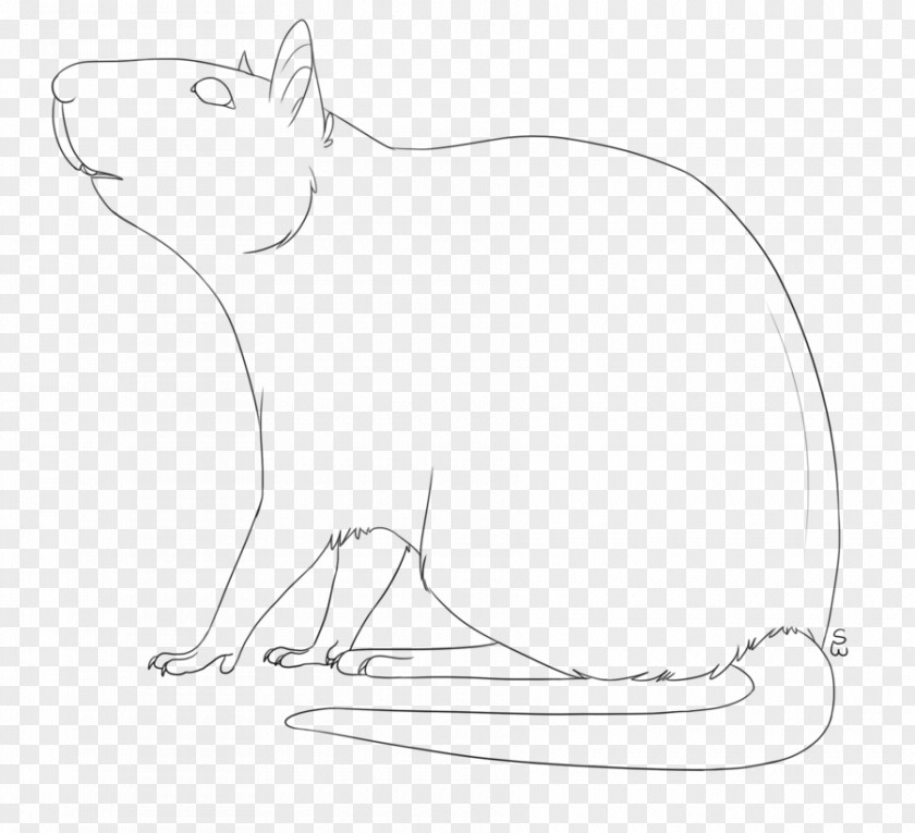 Rat & Mouse Line Art Drawing Cat PNG