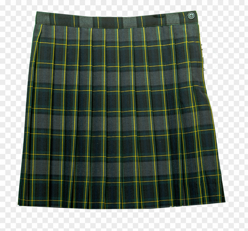 And Pleated Skirt Tartan Kilt PNG