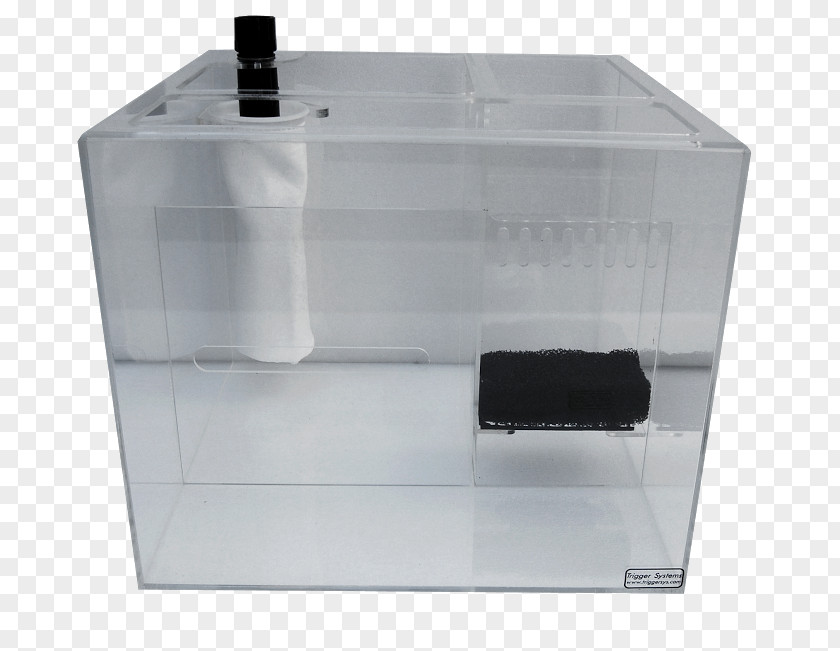 Glass Cube Sump Reef Aquarium PNG