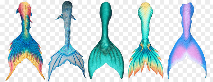 Mermaid Tail Merman Finfolk Ariel PNG