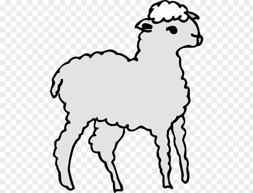 Sheep Windows Metafile Clip Art PNG