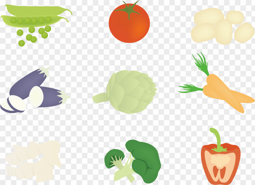 Vector Illustration Vegetables PNG