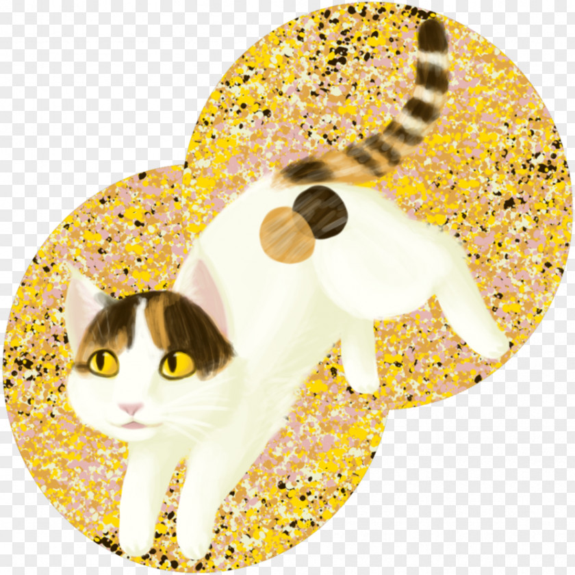 Cat Whiskers Insect PNG