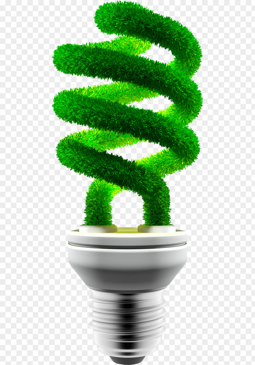 Energy Saving And Environmental Protection Conservation Renewable Environmentally Friendly Incandescent Light Bulb Stock Photography PNG