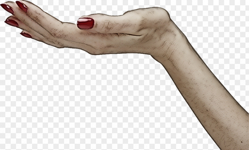 Hand Finger Arm Gesture Thumb PNG