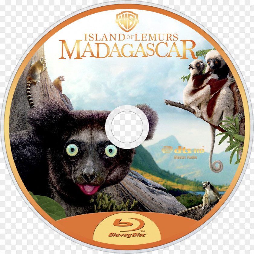 Madagascar Movie Lemurs Documentary Film IMAX PNG