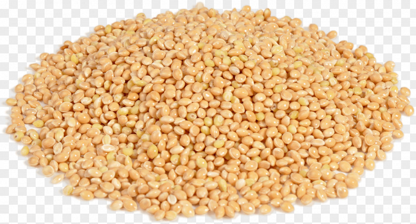 Millet Boza Proso Groat Cereal PNG
