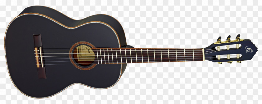 Amancio Ortega Ukulele Musical Instruments Steel-string Acoustic Guitar PNG