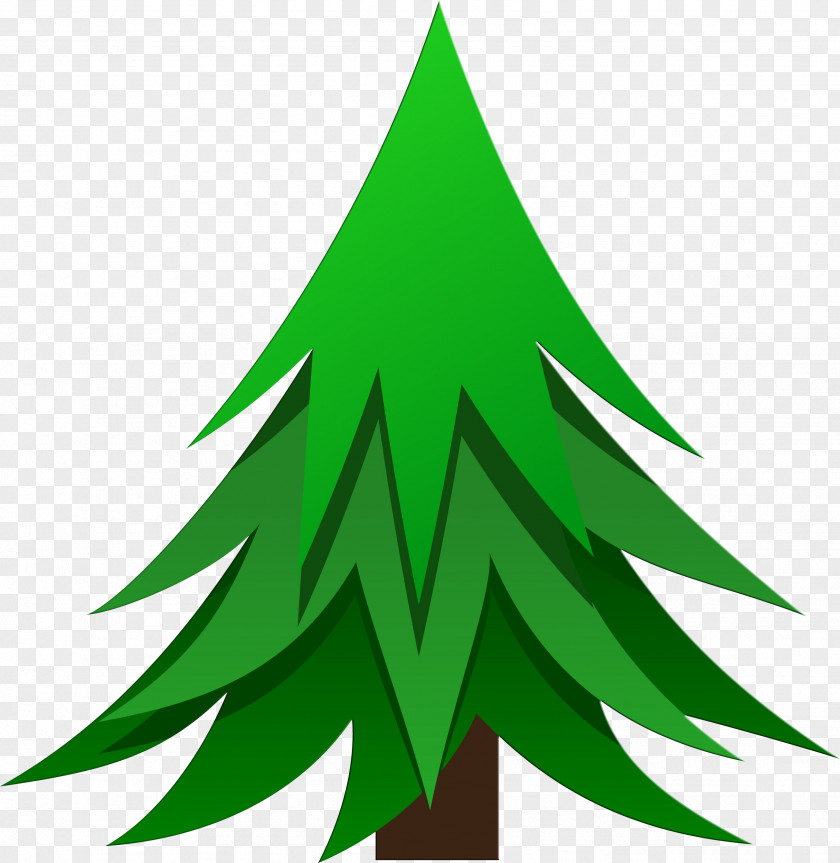 Christmas Tree Plant Conifers Pine Fir Spruce PNG