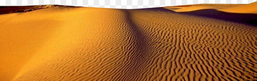 Desert Material Wood Stain Yellow PNG