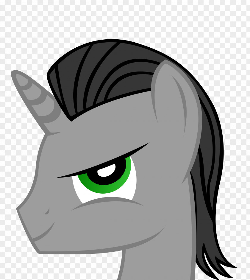 Loki Cat Horse Mammal Whiskers Pony PNG