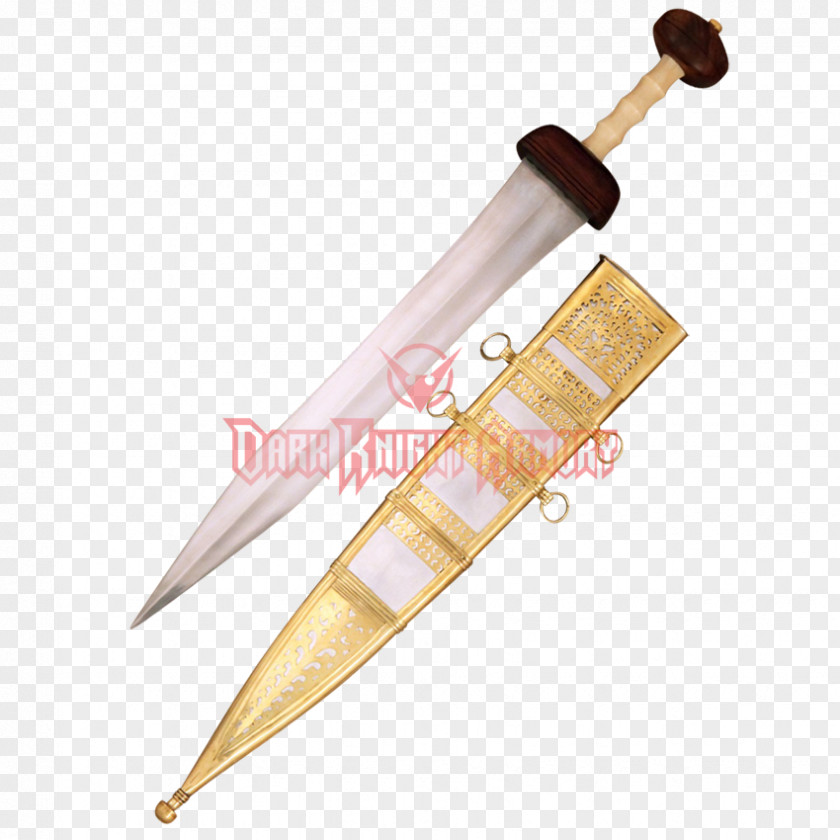 Mainz Gladius Ancient Rome Roman Republic Legion Bowie Knife Soldier PNG