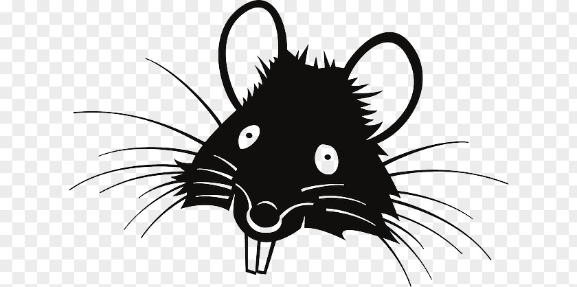 Mouse Laboratory Rat Black Clip Art PNG